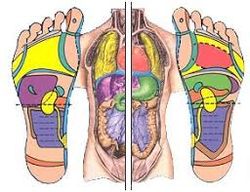 reflexologie plantaire cagnes sur mer